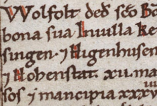 Schriftzug aus dem Codex Eberhardi