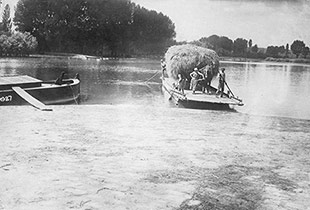 Bauer mit Heuwagen auf der Altrheinfähre vom Juli 1927