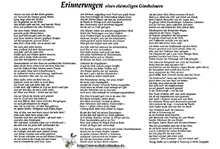 Erinnerungen eines alten Ginsheimers