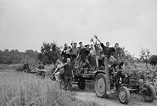 Ginsemer Kerweborsch 1961